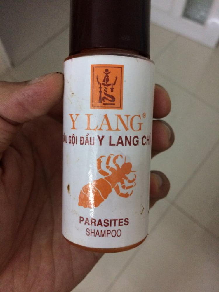Bị chí ( chấy ) Bị chí ( chấy )