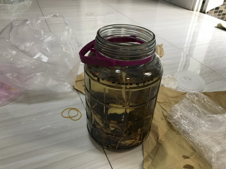 Jolie - Chiếc xe thân thiện Jolie - Chiếc xe thân thiện