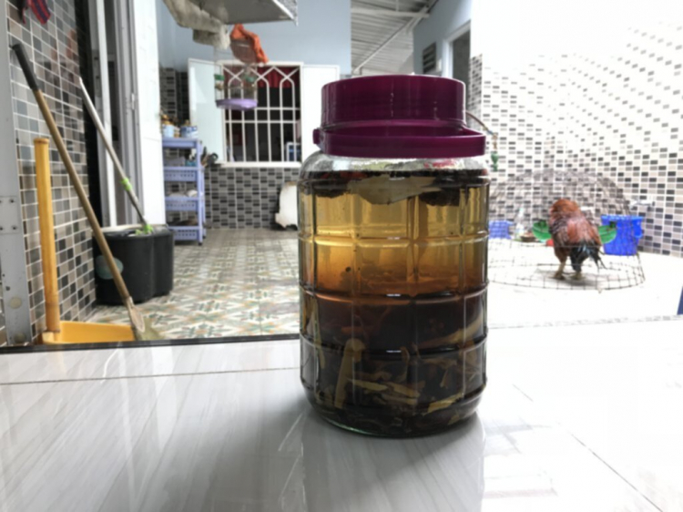 Jolie - Chiếc xe thân thiện Jolie - Chiếc xe thân thiện