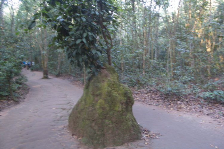 Lang thang ngày Chủ nhật