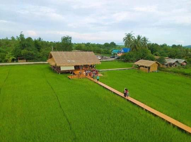 Jolie - Trên những nẻo đường Jolie - Trên những nẻo đường
