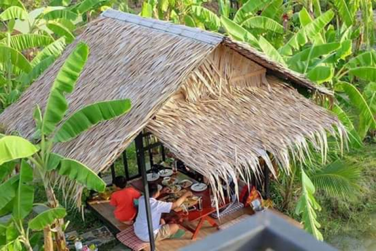 Jolie - Trên những nẻo đường Jolie - Trên những nẻo đường