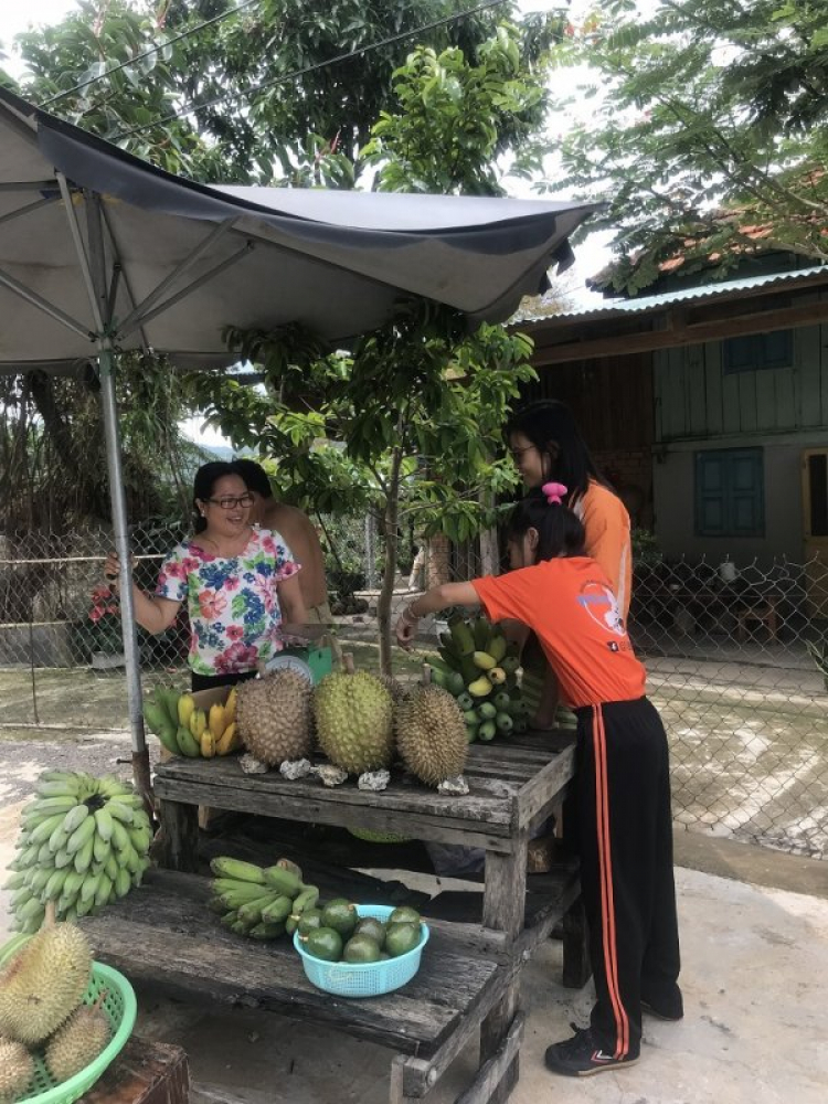 Mình hỏi đường đi từ Phan Thiết tới Bảo Lộc qua quốc lộ 55 Mình hỏi đường đi từ Phan Thiết tới Bảo Lộc qua quốc lộ 55