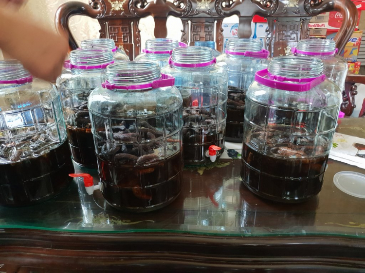 Rựu ngâm hạ thổ xong bỏ bình nhựa có sao ko ? Rựu ngâm hạ thổ xong bỏ bình nhựa có sao ko ?