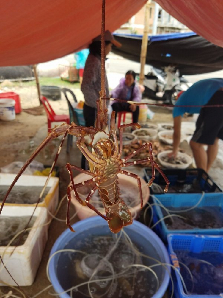 Đằng sau tay lái - ấn tượng những cung đường đẹp ở Việt Nam Đằng sau tay lái - ấn tượng những cung đường đẹp ở Việt Nam
