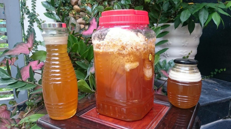 Mật ong rừng nguyên chất Mật ong rừng nguyên chất