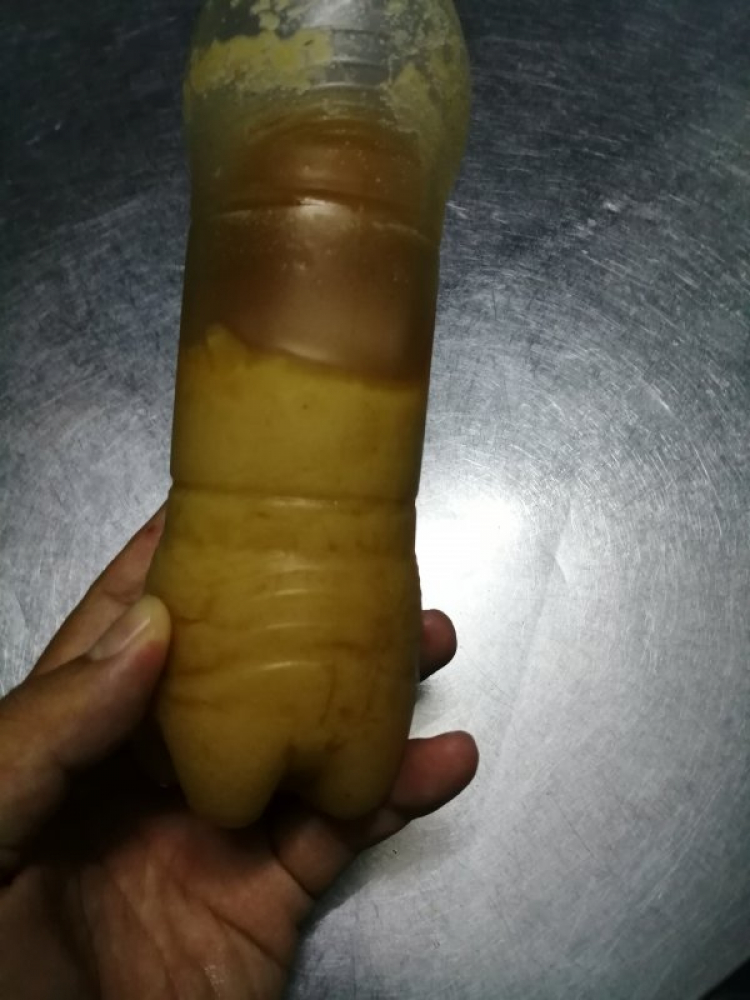 Mật ong rừng nguyên chất Mật ong rừng nguyên chất