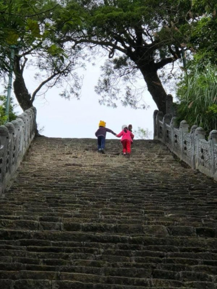 Jolie - Trên những nẻo đường