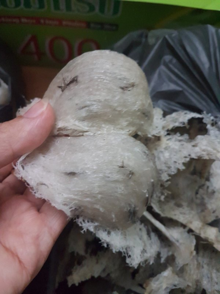 Mật ong rừng nguyên chất Mật ong rừng nguyên chất