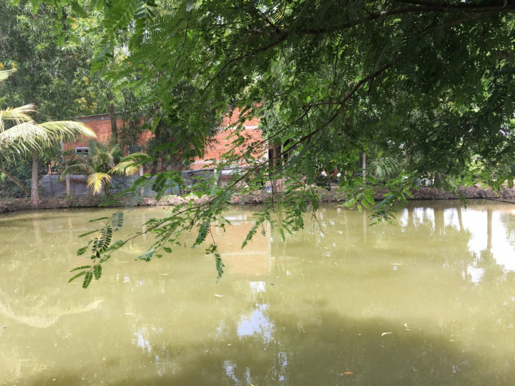 Long Thượng Riverside (Trị Yên) Long An 1,3 tỷ ok không? Long Thượng Riverside (Trị Yên) Long An 1,3 tỷ ok không?