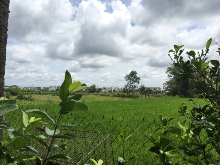 Long Thượng Riverside (Trị Yên) Long An 1,3 tỷ ok không? Long Thượng Riverside (Trị Yên) Long An 1,3 tỷ ok không?