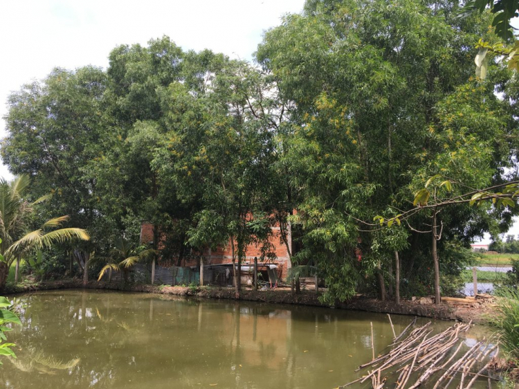 Long Thượng Riverside (Trị Yên) Long An 1,3 tỷ ok không? Long Thượng Riverside (Trị Yên) Long An 1,3 tỷ ok không?
