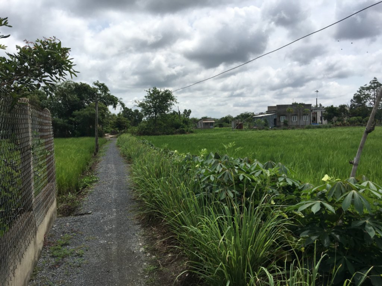 Long Thượng Riverside (Trị Yên) Long An 1,3 tỷ ok không?