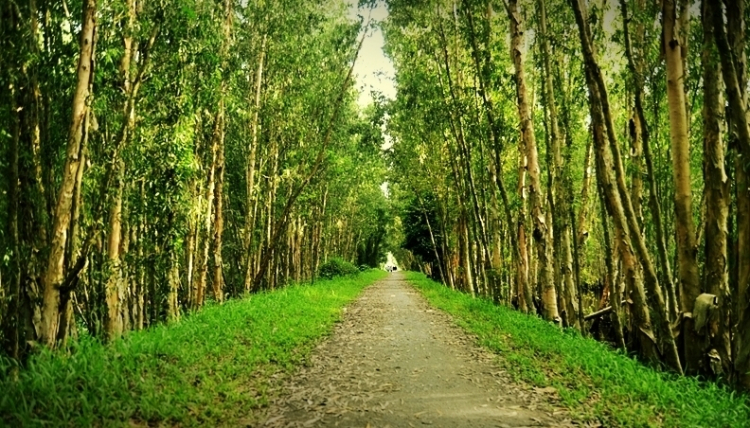 Chúc mừng ngày vui thành viên FIFC, Bac Trọng.