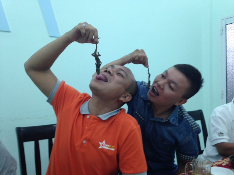 NƠI TỤ TẬP ĂN CHƠI VÀ ĐÓN CHÀO THÀNH VIÊN MỚI CỦA AE SORENTO ! NƠI TỤ TẬP ĂN CHƠI VÀ ĐÓN CHÀO THÀNH VIÊN MỚI CỦA AE SORENTO !