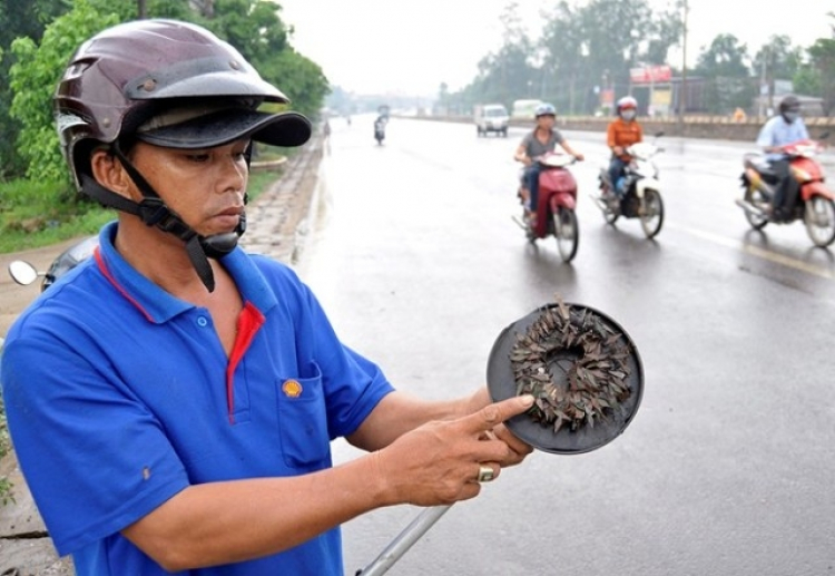 Rải đinh trên quốc lộ: tại sao chỉ phạt hành chính