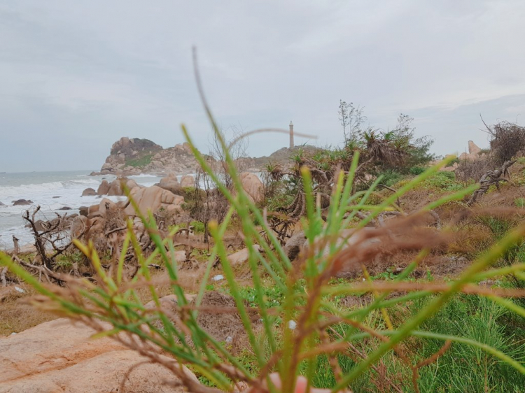 Đằng sau tay lái - ấn tượng những cung đường đẹp ở Việt Nam Đằng sau tay lái - ấn tượng những cung đường đẹp ở Việt Nam