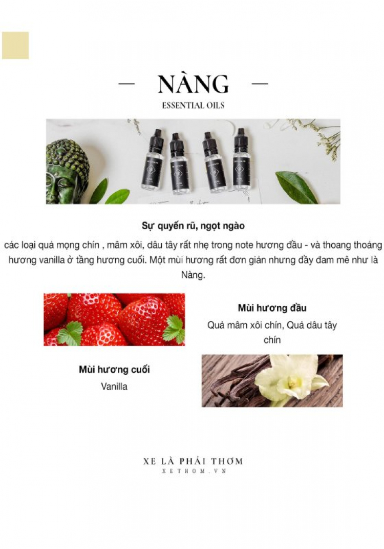 XETHOM.VN - Xe là phải thơm - LUXURY DIFFUSER CAR XETHOM.VN - Xe là phải thơm - LUXURY DIFFUSER CAR