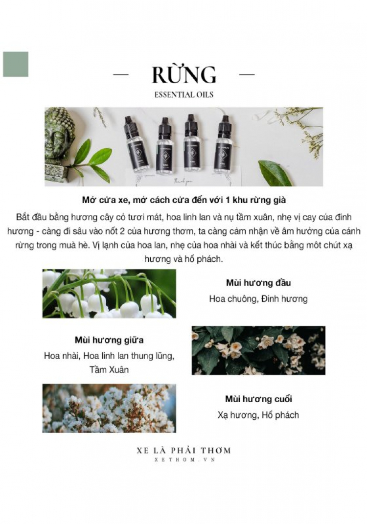 XETHOM.VN - Xe là phải thơm - LUXURY DIFFUSER CAR XETHOM.VN - Xe là phải thơm - LUXURY DIFFUSER CAR