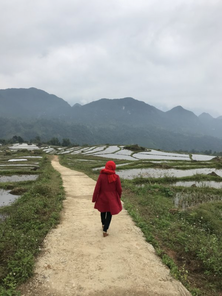 Đằng sau tay lái - ấn tượng những cung đường đẹp ở Việt Nam Đằng sau tay lái - ấn tượng những cung đường đẹp ở Việt Nam