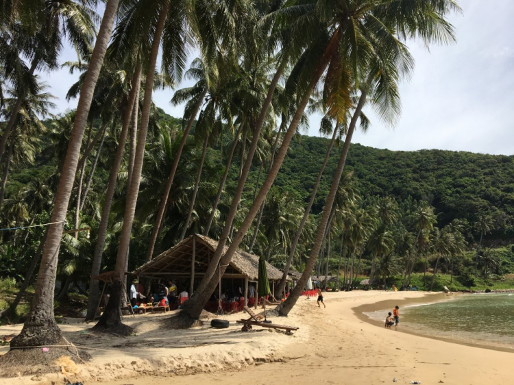 Đằng sau tay lái - ấn tượng những cung đường đẹp ở Việt Nam Đằng sau tay lái - ấn tượng những cung đường đẹp ở Việt Nam
