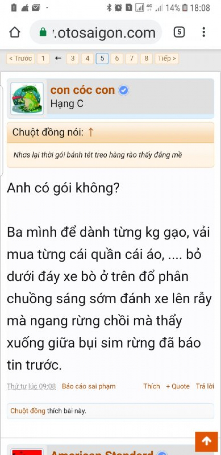 TP HCM cưỡng chế 112 nhà xây trên đất công