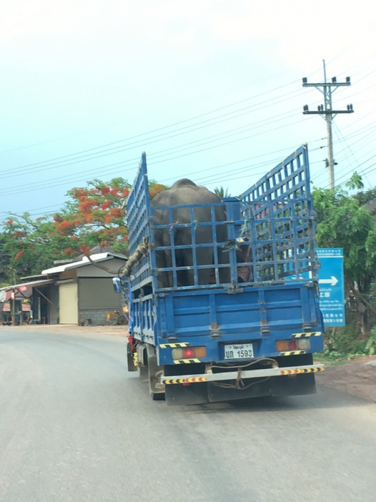 Một số trải nghiệm chuyến đi Lào 8 ngày khoảng 4000km