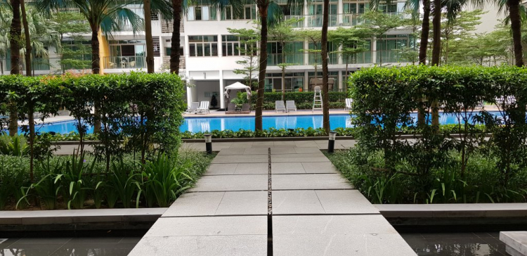 Có nên mua Palace Q2 của anh Nô? Có nên mua Palace Q2 của anh Nô?