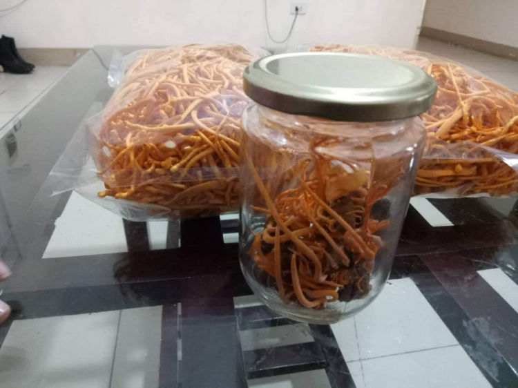 Sạp chợ Tết CNL Kỷ Hợi 2019 Sạp chợ Tết CNL Kỷ Hợi 2019