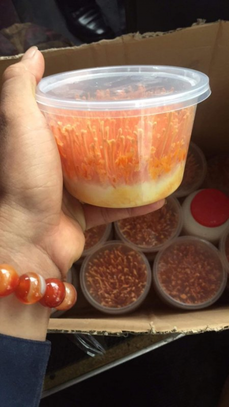 Sạp chợ Tết CNL Kỷ Hợi 2019 Sạp chợ Tết CNL Kỷ Hợi 2019