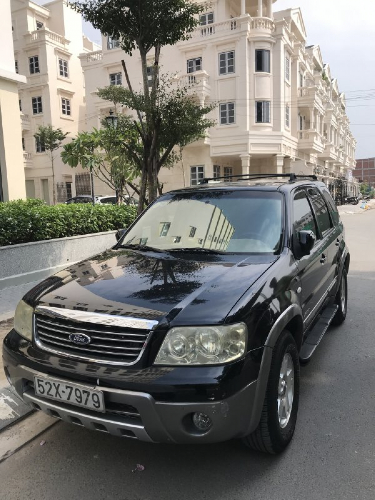 Ford Escape cuối 2004 có hao xăng