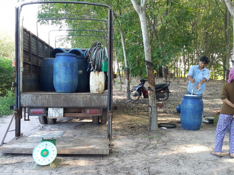 Chỗ bán Nệm cao su thiên nhiên