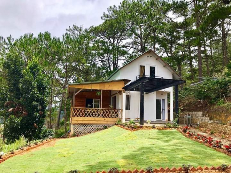 Tổng hợp các thớt về DALAT từ A đến Z Tổng hợp các thớt về DALAT từ A đến Z