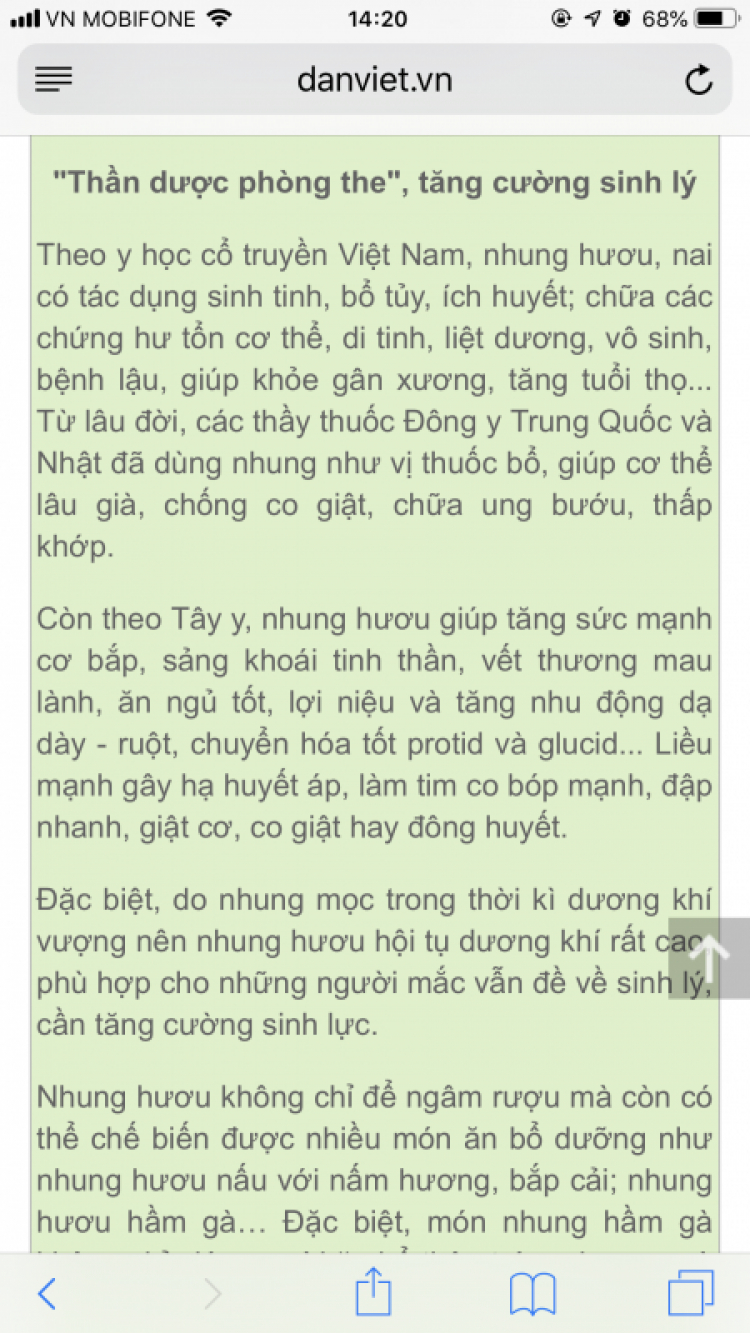 Sừng Nai Trắng có gai