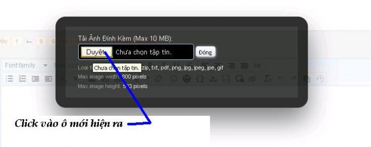 Ảnh vợ hai thành viên MFC