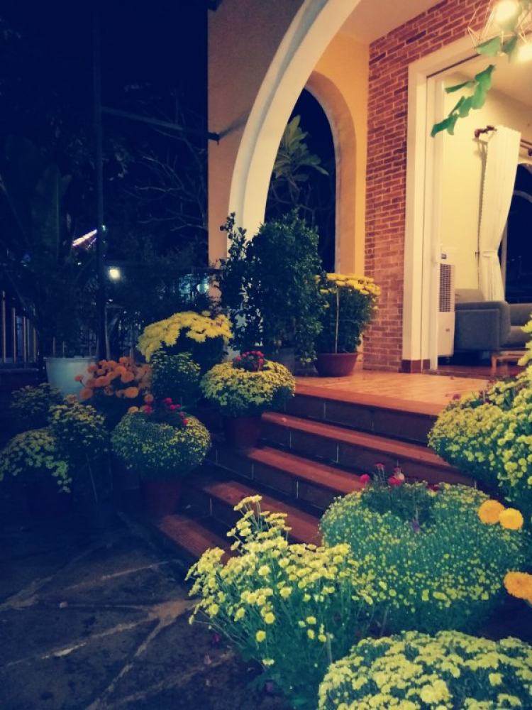 Mình ko thấy tội ngưòi bán hoa Tết chút nào Mình ko thấy tội ngưòi bán hoa Tết chút nào