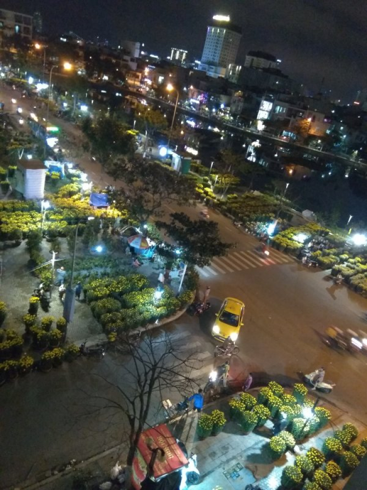Mình ko thấy tội ngưòi bán hoa Tết chút nào Mình ko thấy tội ngưòi bán hoa Tết chút nào