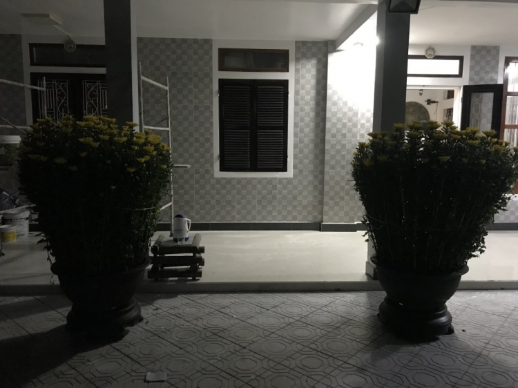 Mình ko thấy tội ngưòi bán hoa Tết chút nào Mình ko thấy tội ngưòi bán hoa Tết chút nào
