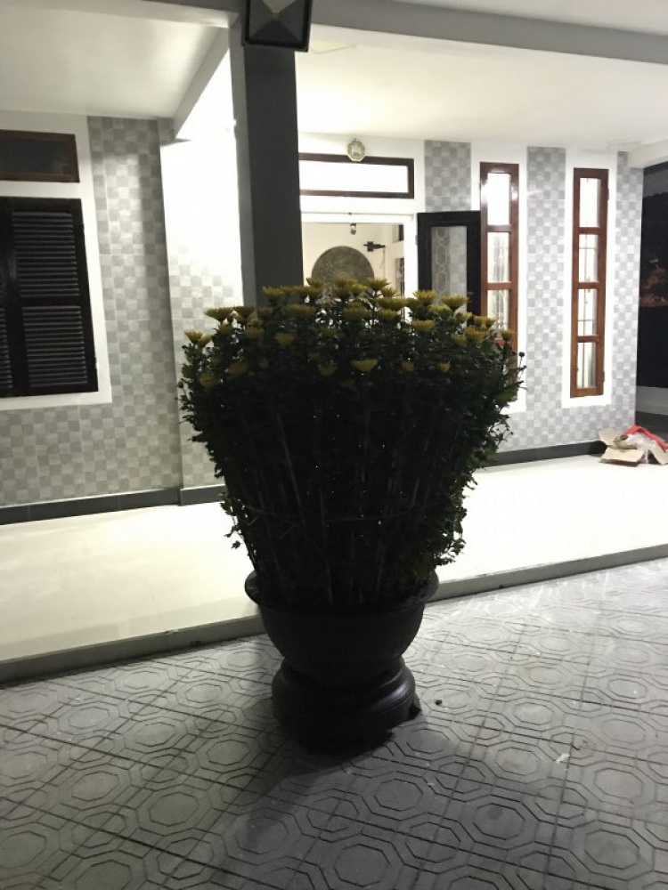 Mình ko thấy tội ngưòi bán hoa Tết chút nào Mình ko thấy tội ngưòi bán hoa Tết chút nào