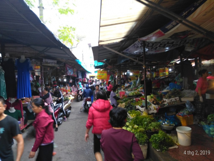 Tạp ảnh Tết Tạp ảnh Tết