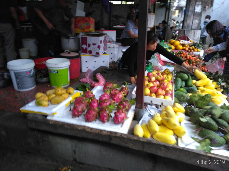 Tạp ảnh Tết Tạp ảnh Tết