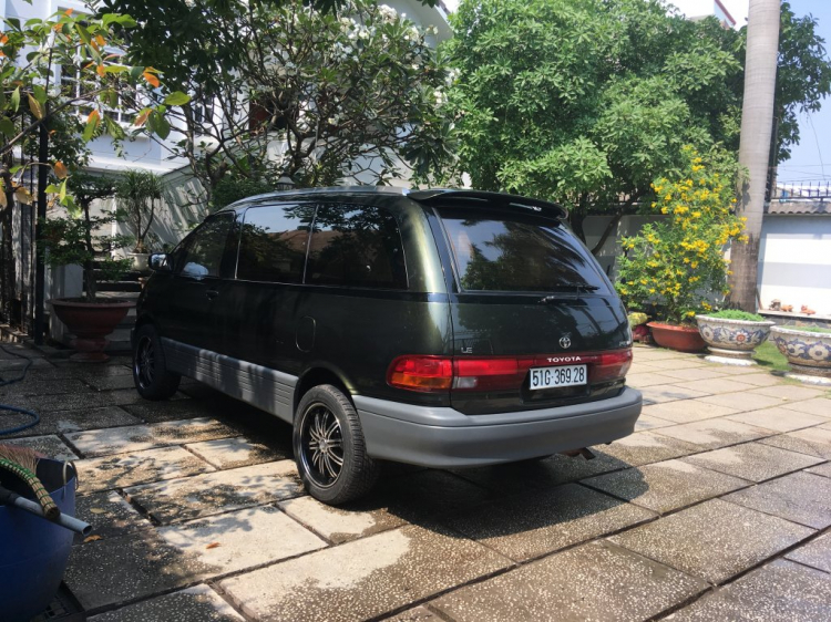 PREVIA94 CỎ PREVIA94 CỎ