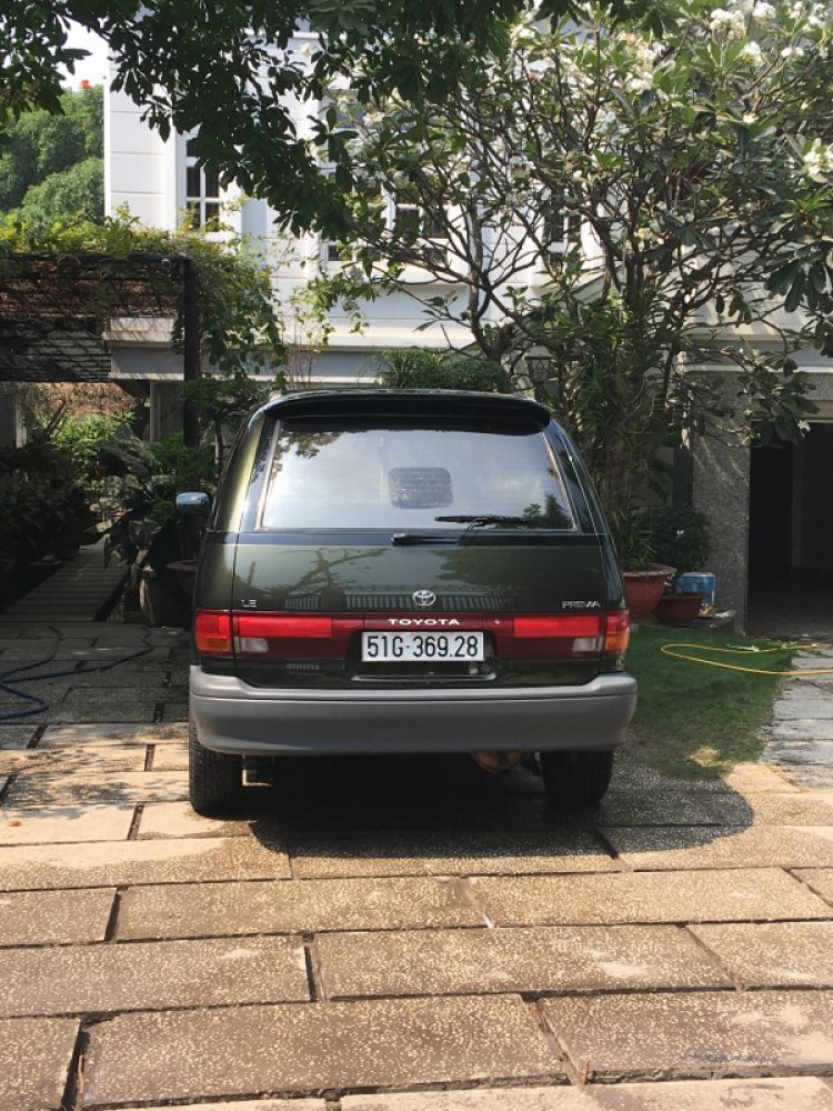 PREVIA94 CỎ PREVIA94 CỎ