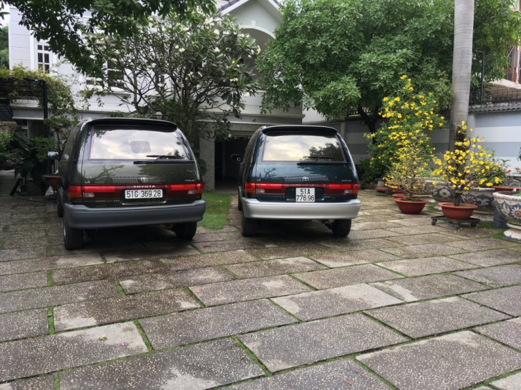 PREVIA94 CỎ PREVIA94 CỎ