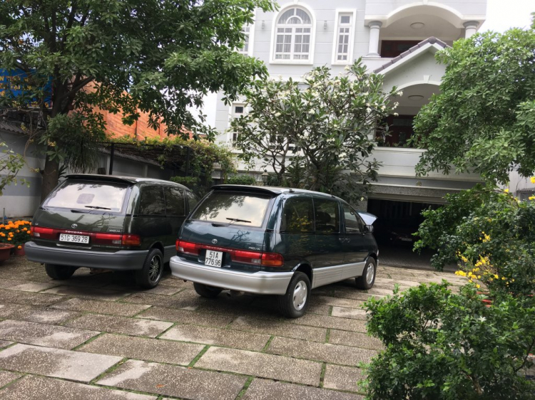 PREVIA94 CỎ PREVIA94 CỎ