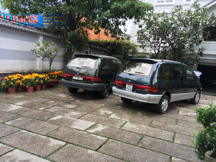 PREVIA94 CỎ PREVIA94 CỎ