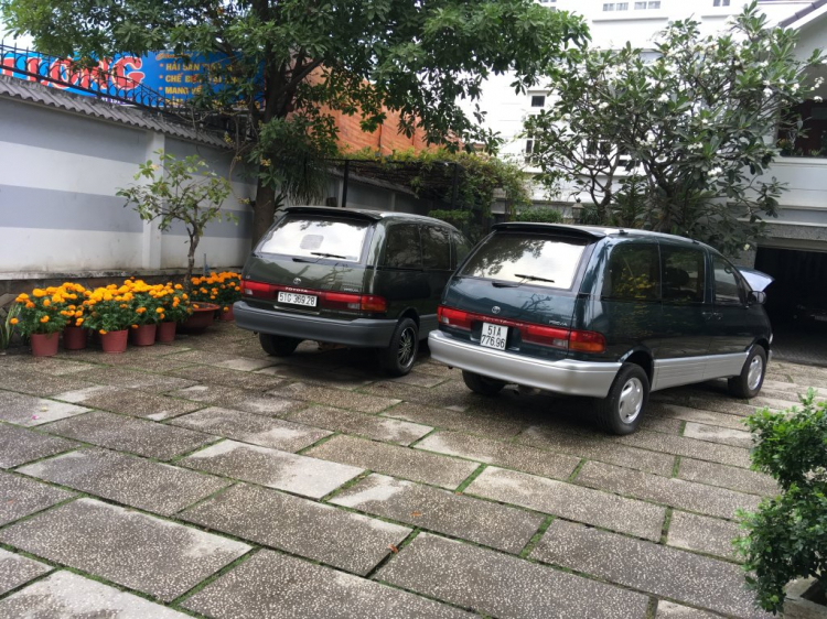 PREVIA94 CỎ PREVIA94 CỎ