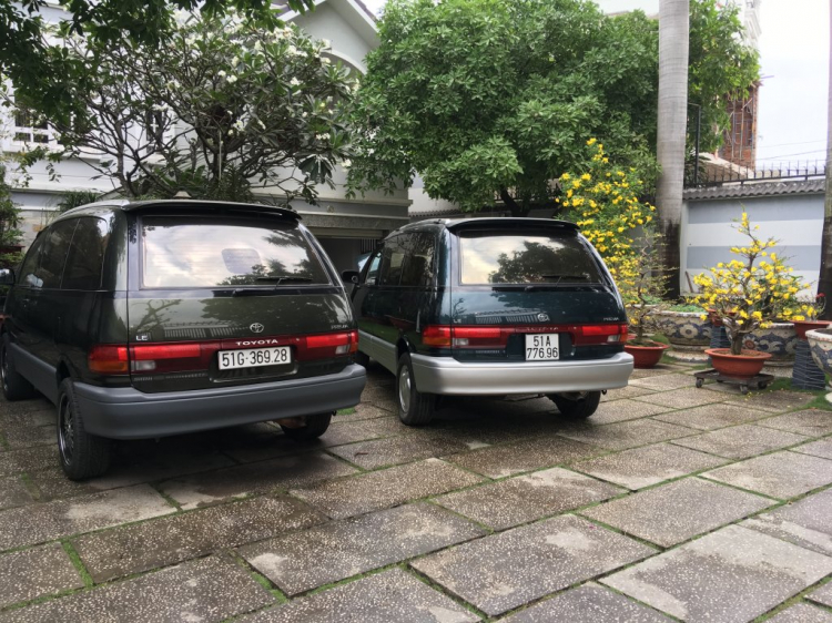 PREVIA94 CỎ PREVIA94 CỎ