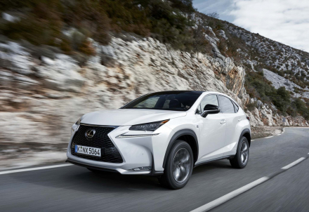 otosaigon_Lexus NX -1.jpg