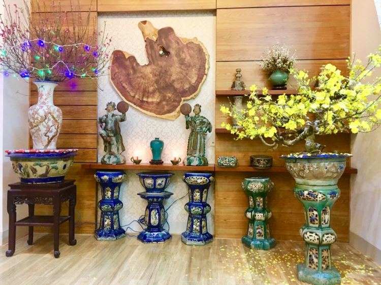 Mai tết Mai tết